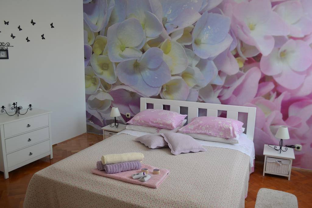 Zadar City Studios Номер фото